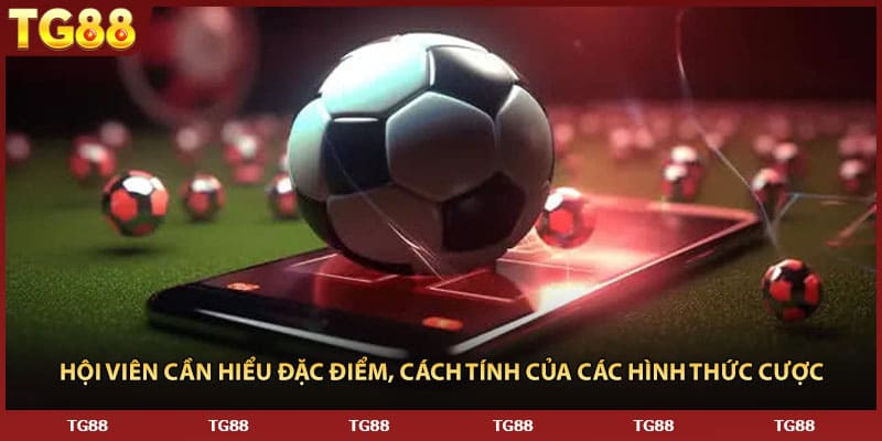 Hội viên cần hiểu đặc điểm, cách tính của các hình thức cược