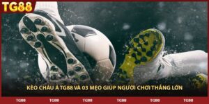 Kèo Châu Á TG88 Và 03 Mẹo Giúp Người Chơi Thắng Lớn