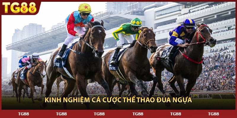 Kinh nghiệm cá cược thể thao đua ngựa