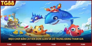 Mẹo Chơi Bắn Cá Tiên Đơn Giản Và Dễ Trúng Đáng Tham Gia