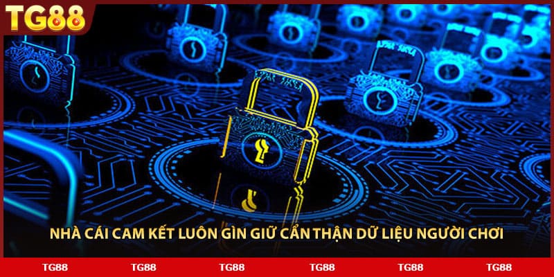 Nhà cái cam kết luôn gìn giữ cẩn thận dữ liệu người chơi