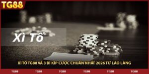 Xì Tố TG88 Và 3 Bí Kíp Cược Chuẩn Nhất 2026 Từ Lão Làng